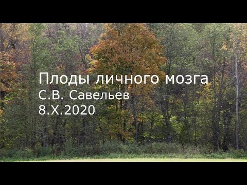 Видео: С.В. Савельев - Плоды личного мозга