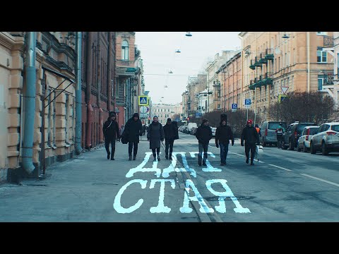 Видео: ДДТ — "Стая"