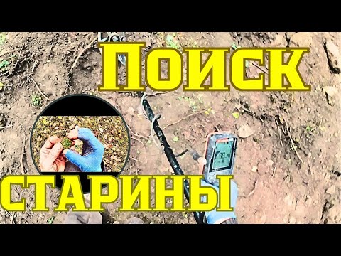 Видео: Поиск лесных кладов