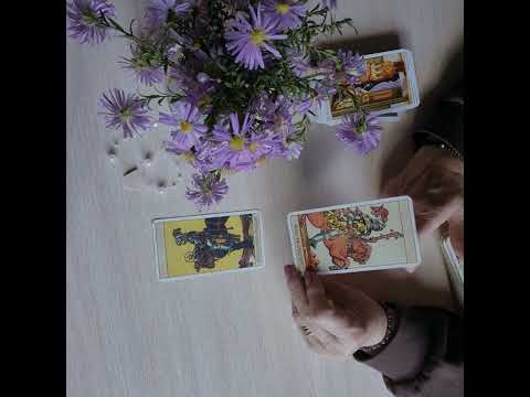 Видео: СТРЕЛЬЦЫ💥💥 НЕДЕЛЯ  с 20-26 ОКТЯБРЯ 