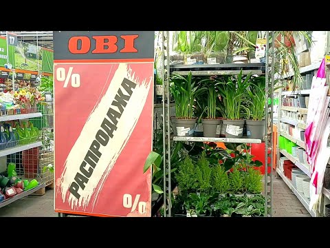 Видео: 🍃Оби🍃Уценка Цветов⚘