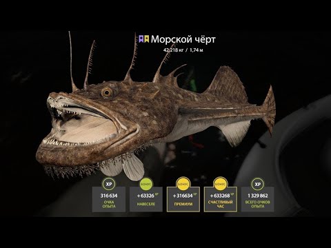 Видео: 🐠НОРВЕЖСКОЕ МОРЕ.ВСЕМ ПО ТРОФЕЮ,А МНЕ ДВА🐟СТРИМ РУССКАЯ РЫБАЛКА 4🐡РОЗЫГРЫШ РУЛЕТОК