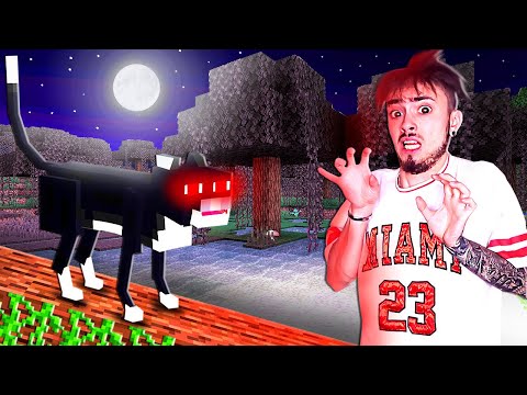 Видео: ПРОКЛЯТАЯ КОШКА В МАЙНКРАФТ!