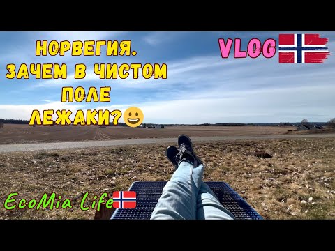 Видео: Прогулка длинною в 12 км. Всё для Людей! Как учу Норвежский. Встреча с Любимым Деревом/Nº2-04.2025.