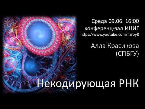 Видео: Алла Красикова "Некодирующие РНК"