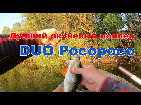 Видео: Лучший ПОППЕР на окуня - DUO Pocopoco