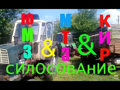 Видео: Силосование 2015 тракторами  МТЗ 82.1 с косилкой КИР 1.5 и ЮМЗ -6 с прицепом 2птс 4