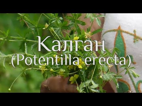 Видео: Калган