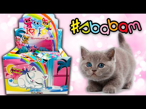 Видео: НОВИНКА !!! Самые МИЛЫЕ Ю - Ю МАЛЕНЬКИЕ КОТЯТА от СБАБАМ