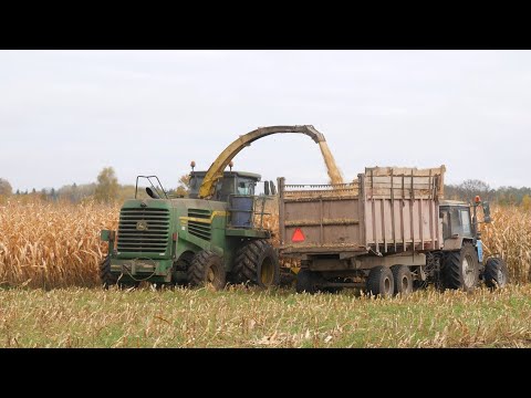 Видео: Заготовка кормов / John Deere 7480 / 2X БЕЛАРУС 1221, 2X 952 /