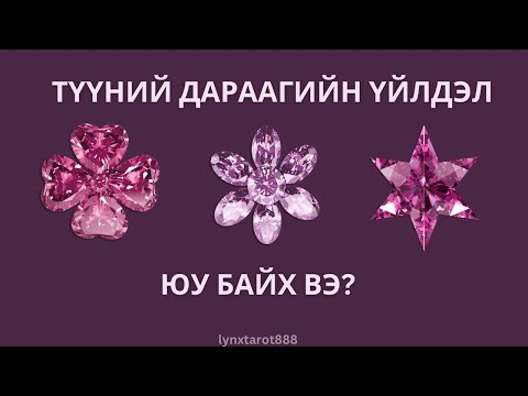 Видео: Түүний дараагийн үйлдэл🌺|тарот мэргэ (Нэмэлттэй)