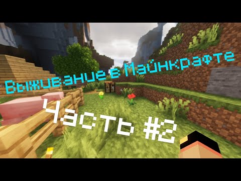 Видео: Прохожу Майнкрафт #2