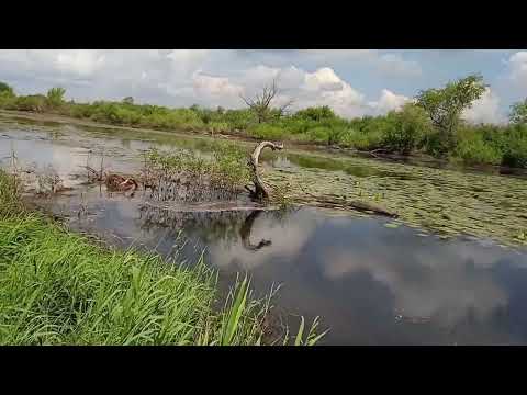 Видео: кастинговая сеть из полиэстера ф 5+, ячейка 25. первое испытание на воде.