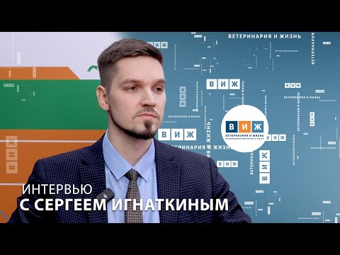 Видео: Интервью с Сергеем Игнаткиным