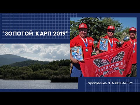 Видео: Турнир по карпфишингу Золотой карп 2019