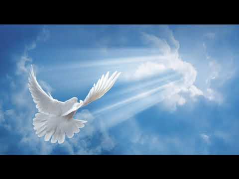 Видео: Мавлоно - مولانا