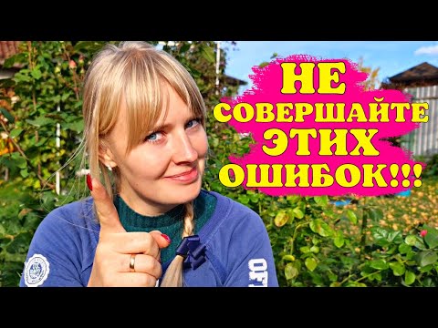 Видео: РОЗЫ ПОЧЕРНЕЮТ! Не СОВЕРШАЙТЕ ЭТИХ ОШИБОК перед укрытием!