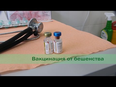 Видео: Вакцина от вируса бешенства Nobivac Rabies