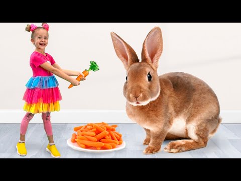 Видео: Большой зоопарк — Истории и приключения с питомцами для детей и семьи