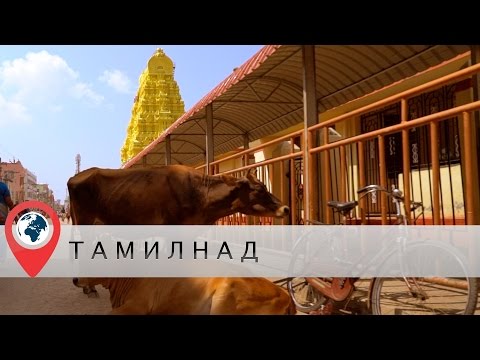 Видео: В отпуск в Индию. Часть 5. Тамил-Наду. Рамешварам