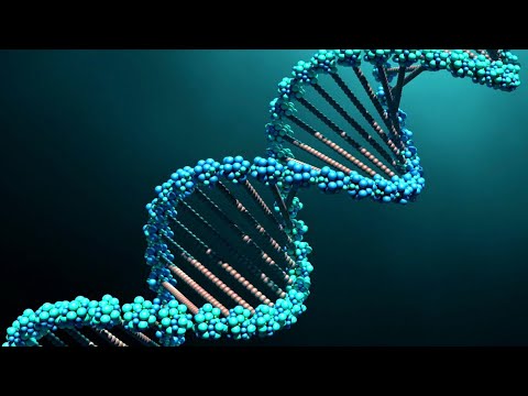 Видео: ДНК (рассказывают Светлана Боринская и Егор Прохорчук)
