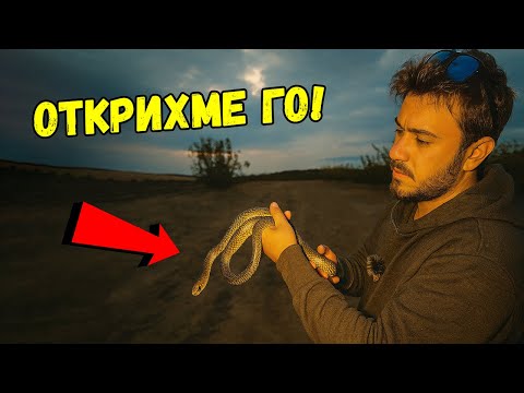 Видео: Вечерно ТЪРСЕНЕ НА ЗМИИ 🐍 | Открихме прекрасен СМОК - СТРЕЛЕЦ!