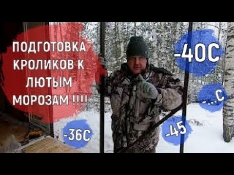 Видео: КРОЛИКИ ПОДГОТОВКА К ЛЮТЫМ МОРОЗАМ !!!! блогер в деревне. содержание кроликов