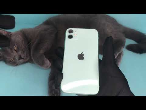 Видео: Распаковка iPhone 11 - на что обратить внимание при покупке