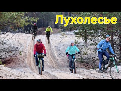 Видео: Лухолесье