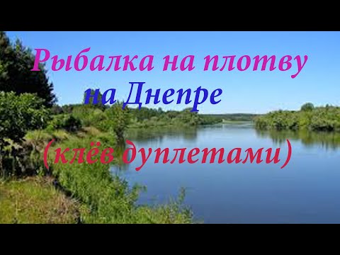 Видео: Рыбалка на плотву на Днепре (клёв дуплетами)