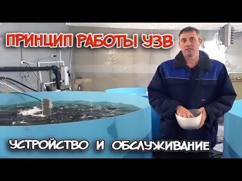 Видео: ПРИНЦИП РАБОТЫ эффективного УЗВ. УСТРОЙСТВО и ОБСЛУЖИВАНИЕ моего УЗВ.