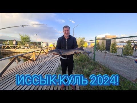 Видео: ИССЫК-КУЛЬ 2024!"RADUGA WEST" ИЛИ КАК ПОЙМАТЬ НА ИССЫК-КУЛЕ ОСЕТРА !