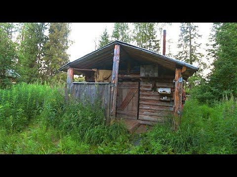 Видео: Нашли лесную избу и таёжную баню на берегу реки! Рыбалка, ловим трофейных ЩУК! Третий день в тайге!