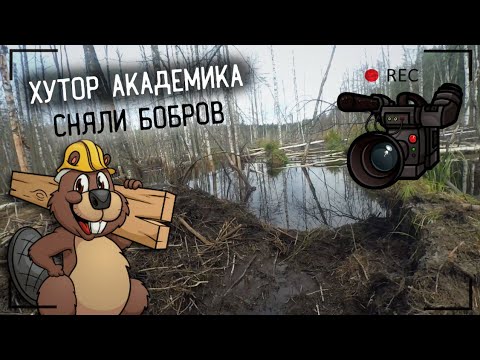 Видео: Хутор академика, мастер класс от бобров.