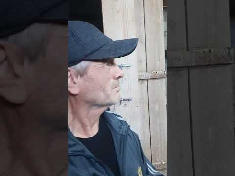 Видео: В гостях у Юры Фонакова г.Бугульма голуби Прикамья