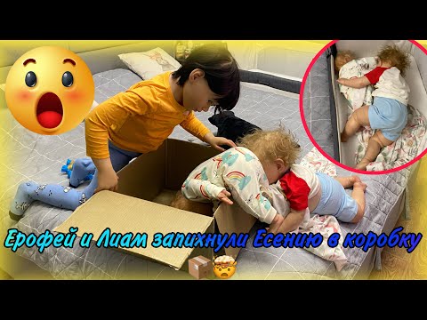 Видео: НАКАЗАЛА РЕБОРНОВ ЕРОФЕЙ И ЛИАМ ЗАПИХНУЛИ ЕСЕНИЮ В КОРОБКУ И ВЫКИНУЛИ! ИСТЕРИКА РЕБОРНА REBORN BABY