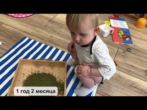 Видео: Идеи раннего развития ребенка дома в 12-14 месяцев