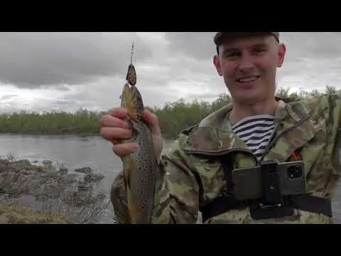 Видео: Рыбалка на кумжу на Титовских разливах, вертушка (Blue Foxe) блюфокс, Кольский полуостров