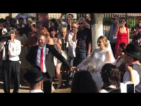 Видео: Мало банатско коло за Драгану и Ику