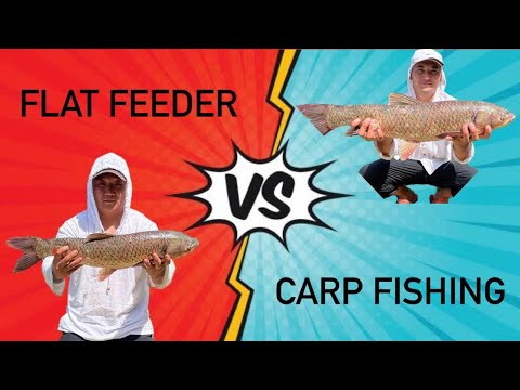 Видео: ФЛЭТ ФИДЕР VS КАРП ФИШИНГ. Рыбалка в Алматы. Озеро Октябрьское #3. Поймали много АМУРА