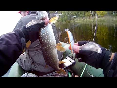 Видео: Косадака рулит.просто истребитель щук!Часть 2 Kosadaka Intra XS 95F Itumo Dron 95SP