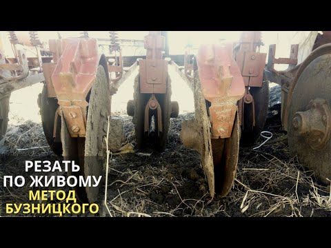 Видео: Метод Бузницкого: сошники травмируют пшеницу?