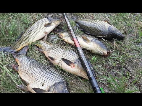 Видео: Карп на боковой кивок. Ловля в шторм.