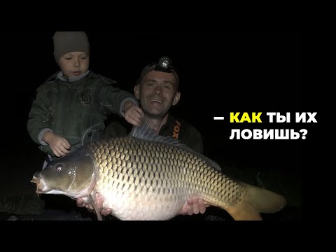 Видео: Подробный обзор и советы по карповой рыбалке