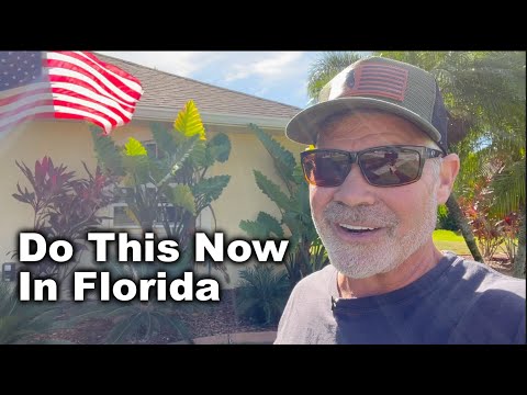 Видео: Советы по уходу за газоном во Флориде — ноябрь 2023 г. // Видеоблог о работе с газоном на выходных