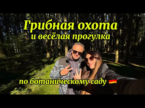 Видео: Сбор грибов в Германии🇩🇪и весёлая прогулка по ботаническому саду🍁