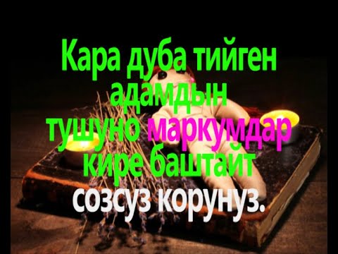 Видео: КАРА ДУБА ТИЙГЕН АДАМДЫН ТУШУНО МАРКУМДАР КИРЕ БАШТАЙТ.