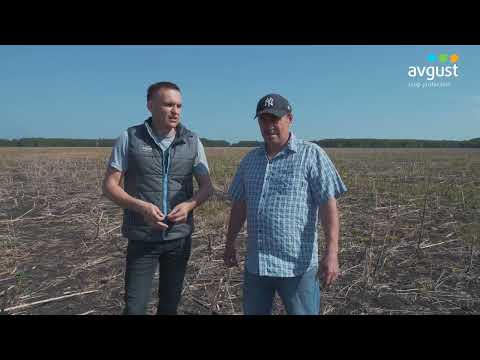 Видео: Осенняя обработка полей глифосатом в Северо-Казахстанской области #агроказахстан #обработкапочвы