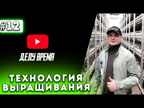 Видео: #12 Бизнес В Гараже | Конец Шока | Выращивание Шампиньонов