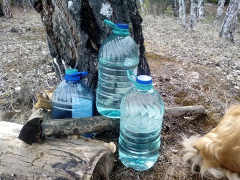 Видео: Берёзовый сок в автоклаве.